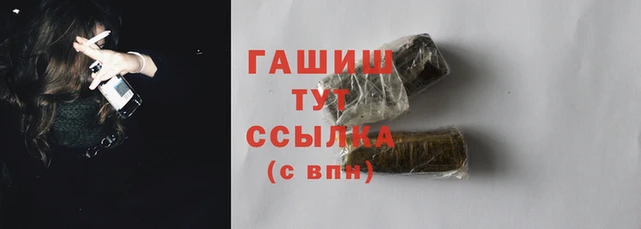 стаф Корсаков