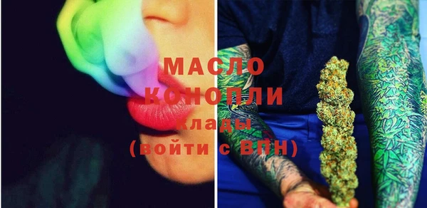 стаф Корсаков